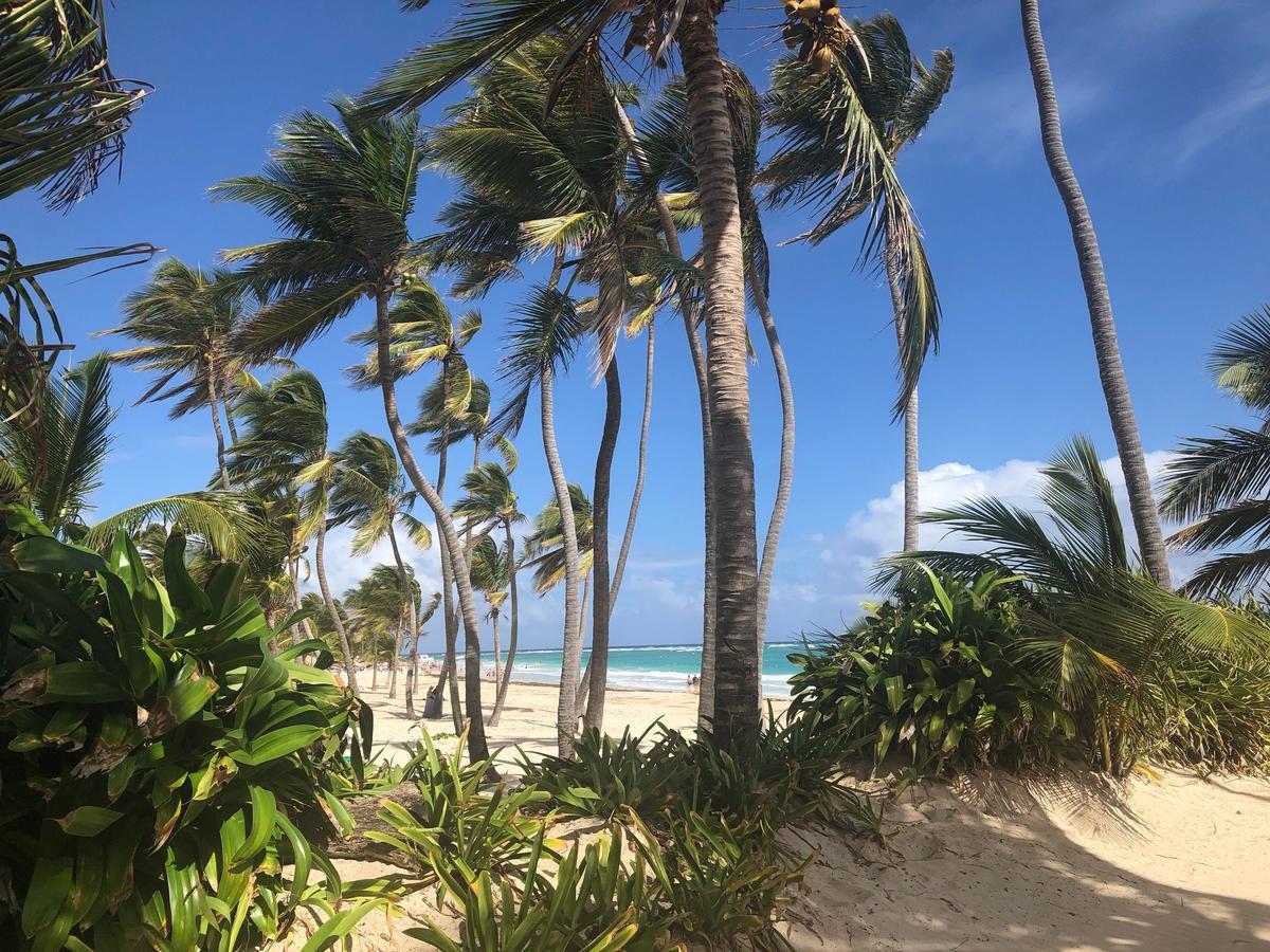 Art Villa Dominicana プンタ・カナ エクステリア 写真